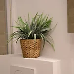 Zeezicht By Qua-lyne Apartamento Ostende