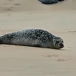 Zeezicht By Qua-lyne Ostende