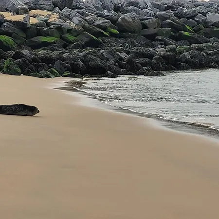 Zeezicht By Qua-lyne Апартаменты *