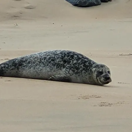 Zeezicht By Qua-lyne Остенде