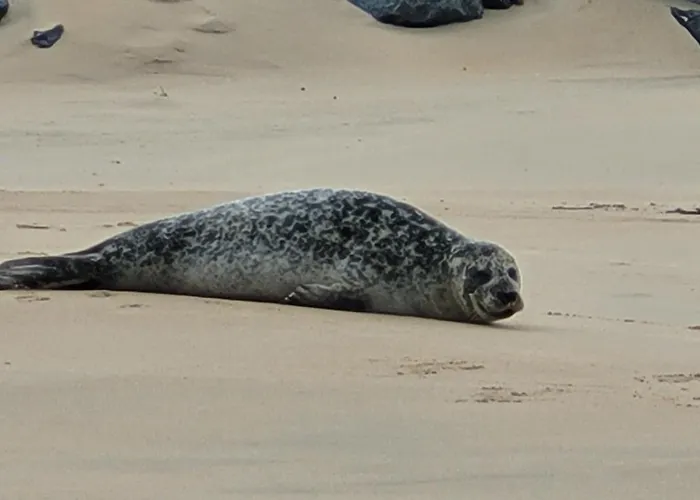 Zeezicht By Qua-lyne Ostend